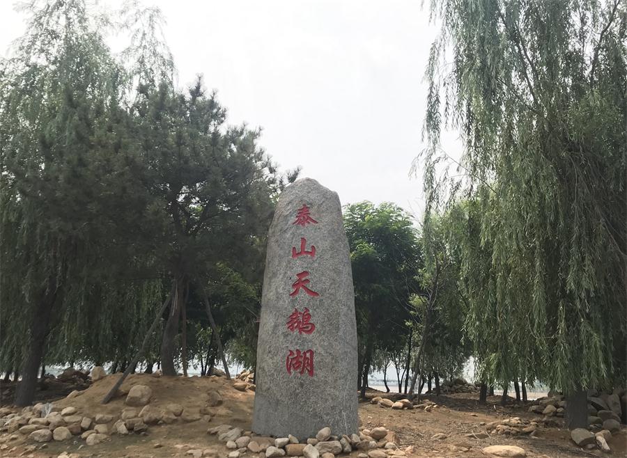 天鵝湖風(fēng)景區(qū)（泰山）速覽！(圖12)