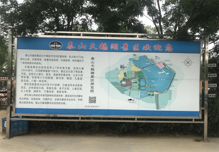 天鵝湖風(fēng)景區(qū)（泰山）速覽！(圖2)